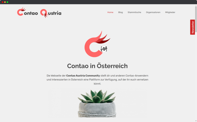 Bildschirmfoto der Webseite von Contao Austria